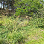 Terreno à venda em Chácara Fernão Dias, Bragança Paulista, SP