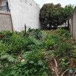 Terreno à venda com 1 suíte em Vila Constança, São Paulo, SP