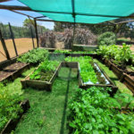 Chácara à venda com 2 quartos, sendo 1 suíte, em Vale San Fernando, Itapetininga, SP