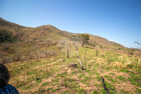 Terreno à venda em Recanto das Acácias, São Roque, SP