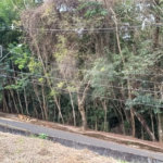 Terreno à venda em Jardim América, Bragança Paulista, SP