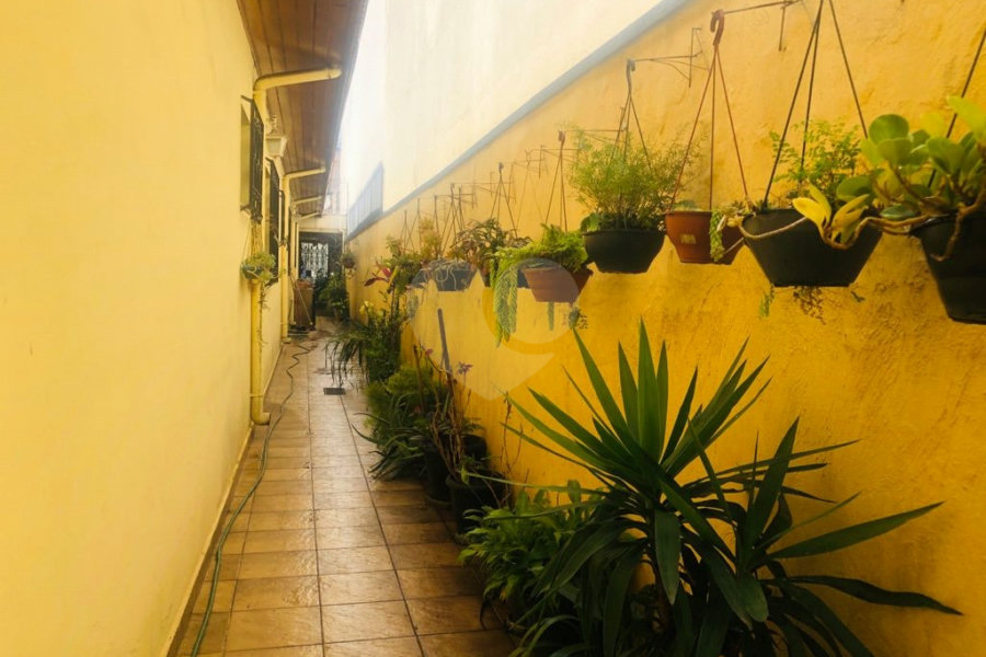 Casa Térrea à venda com 3 quartos, sendo 1 suíte, em Jardim Brasil (zona Norte), São Paulo, SP