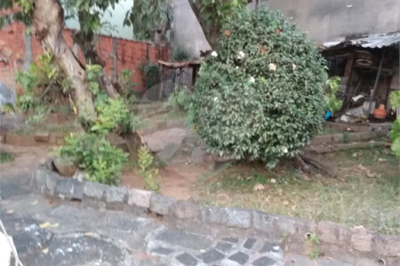 Casa Térrea à venda com 2 quartos em Água Fria, São Paulo, SP