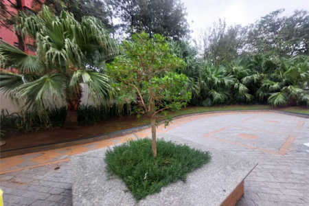 Apartamento à venda com 3 quartos, sendo 1 suíte, em Jardim Bonfiglioli, São Paulo, SP