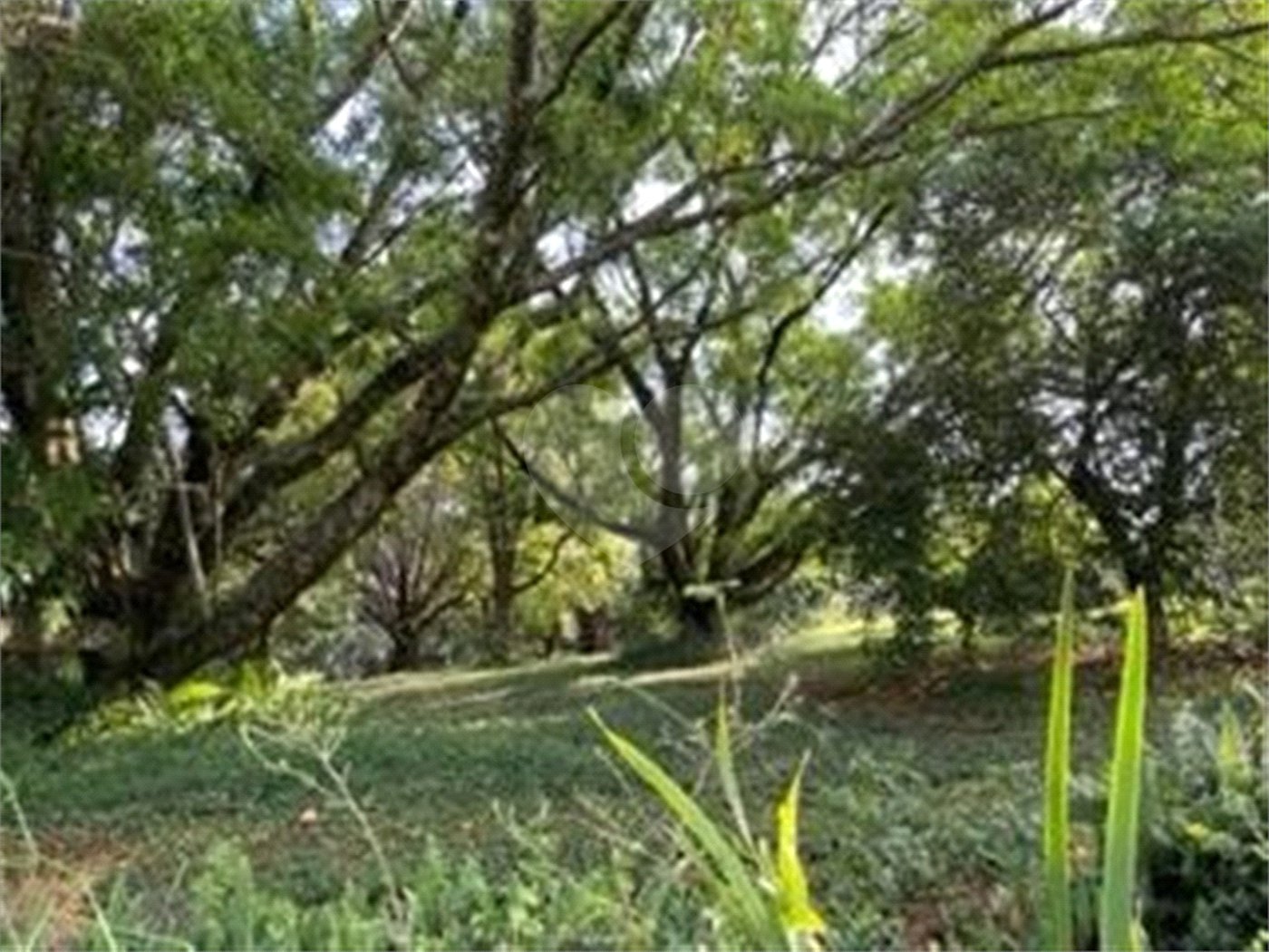 Sítio à venda com 2 quartos em Vila Brasileira, Itatiba, SP