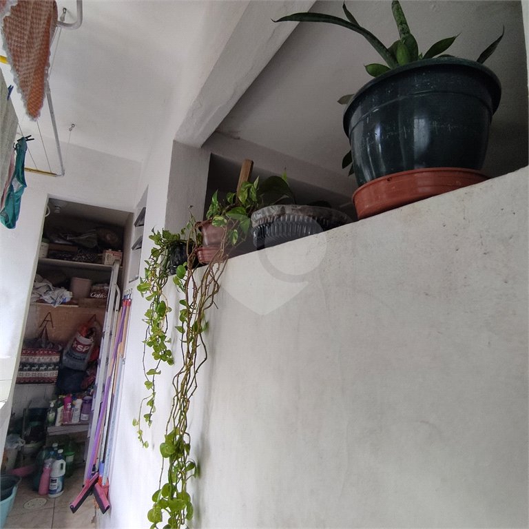 Apartamento à venda com 3 quartos em Parque Mandaqui, São Paulo, SP