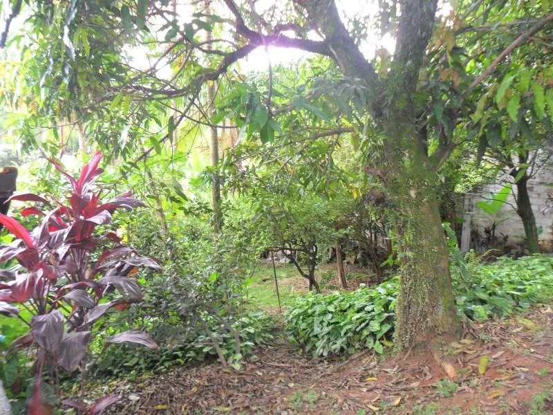 Sobrado à venda com 3 quartos, sendo 1 suíte, em Vila São Francisco, São Paulo, SP