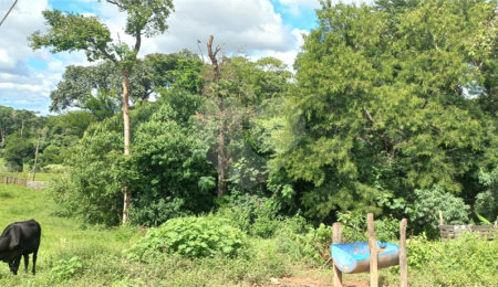 Sítio à venda em Leitão, Louveira, SP