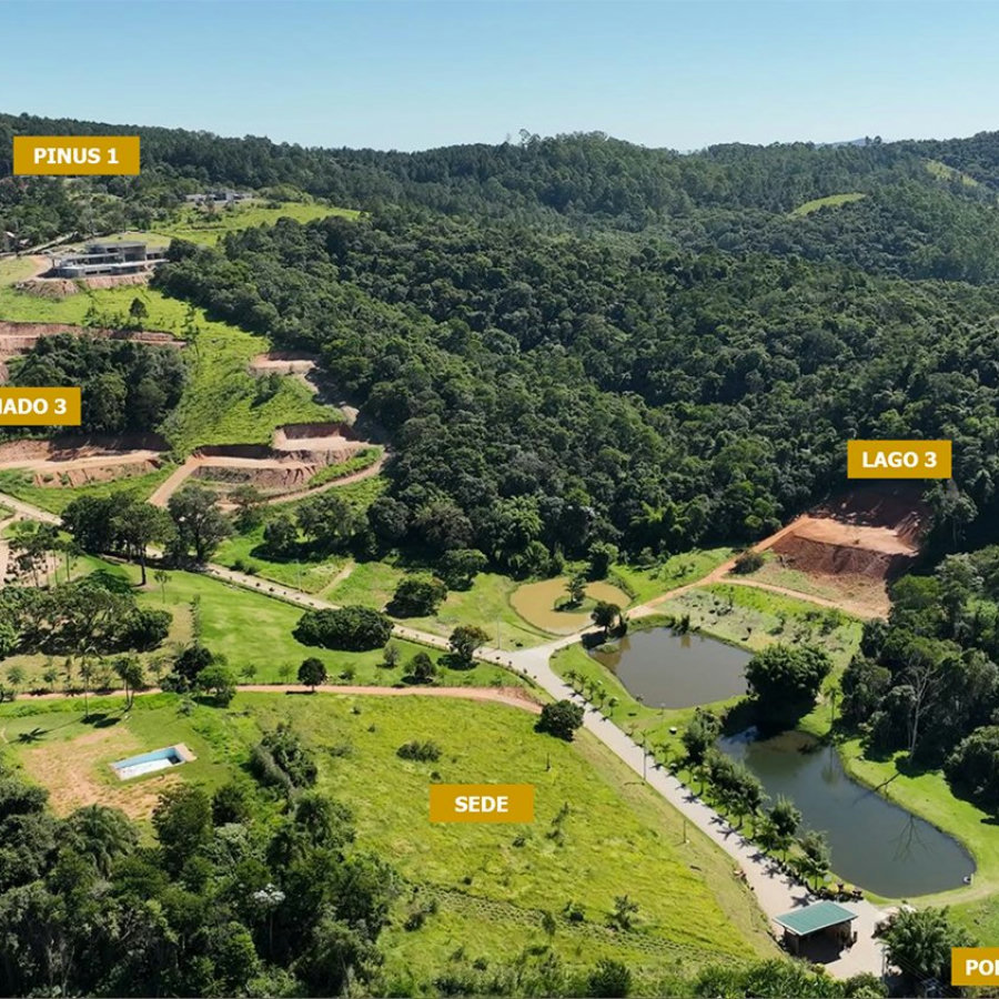 Fazenda Elisa - Fase 3