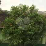Casa à venda com 5 quartos, sendo 1 suíte, em Portal das Acácias, Santana de Parnaíba, SP