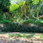 Terreno à venda em Interlagos, São Paulo, SP