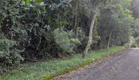 Terreno à venda no condomínio Alpes da Cantareira, Mairiporã - SP