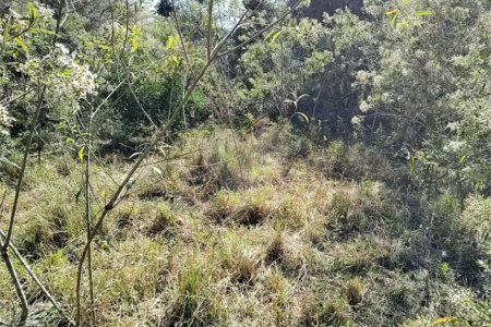 Sítio à venda com 3 quartos, sendo 1 suíte,  em Da Barra, Salto de Pirapora, SP