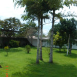 Sítio à venda com 4 quartos, sendo 2 suítes, em Santa Cruz, Rio de Janeiro, RJ
