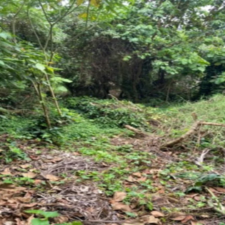 Terreno à venda em Jardim Leonor, São Paulo, SP