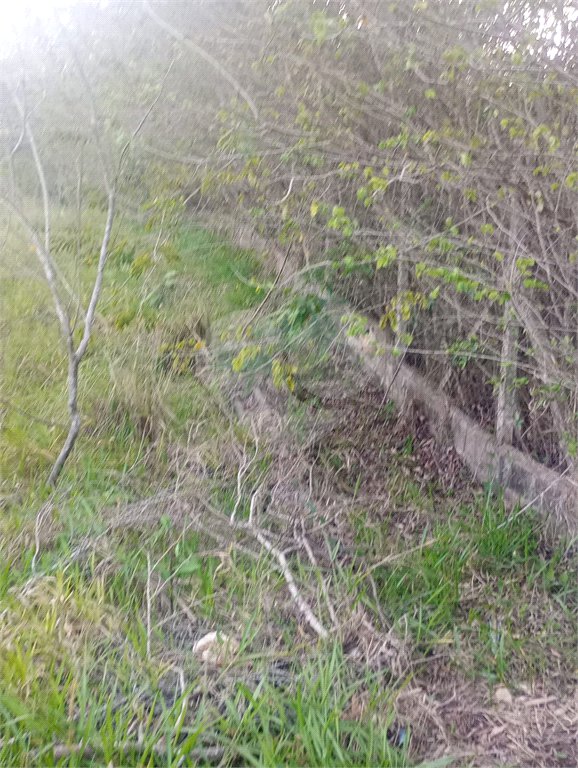 Terreno à venda em Jardim Camargo (canguera), São Roque, SP