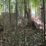Terreno à venda em Serra da Cantareira, Mairiporã, SP