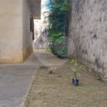 Terreno à venda com 2 quartos em Santana, São Paulo, SP