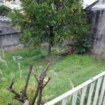 Terreno à venda em Vila Romero, São Paulo, SP