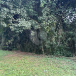 Terreno à venda no condomínio Alpes da Cantareira, Mairiporã - SP