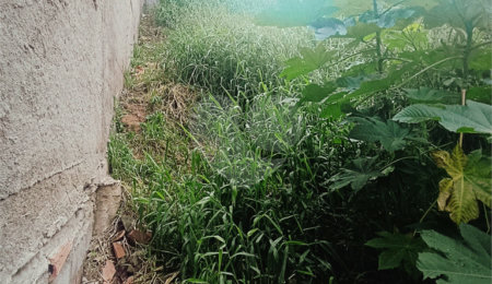 Terreno à venda em Tremembé, São Paulo, SP