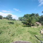 Terreno à venda em Itapetinga, Atibaia, SP