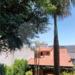 Casa à venda com 3 quartos, sendo 2 suítes, em Conjunto Habitacional Brás Cubas, Mogi das Cruzes, SP