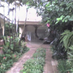 Casa Térrea à venda ou para alugar com 3 suítes em Vila Isolina Mazzei, São Paulo, SP