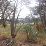 Terreno à venda em Campos de Atibaia, Atibaia, SP