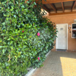 Casa à venda com 2 quartos no condomínio Altos do Boa Vista, São Roque - SP