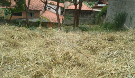 Terreno à venda em Jardim do Trevo, Atibaia, SP