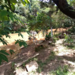Sítio à venda com 2 quartos em Vila Sottemo, Itapetininga, SP