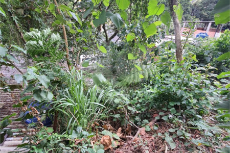 Loteamento à venda em Jardim Amália, São Paulo, SP