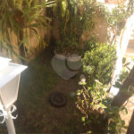 Casa Térrea à venda com 2 quartos em Vila Santa Edwiges, São Paulo, SP