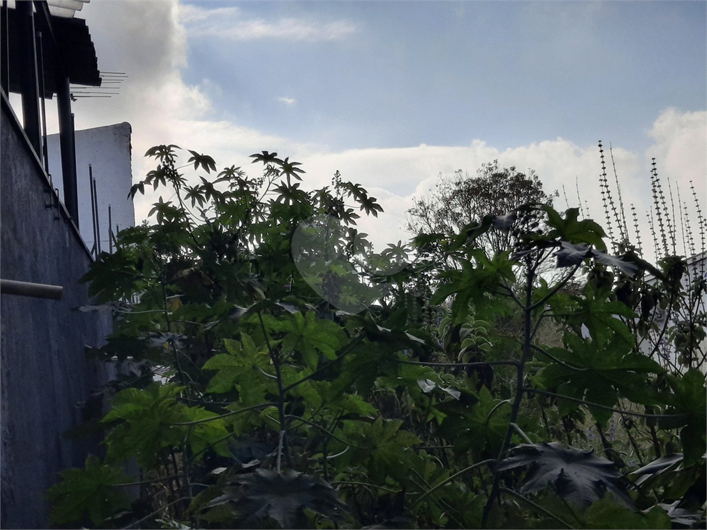 Terreno à venda em Chácara Monte Alegre, São Paulo, SP
