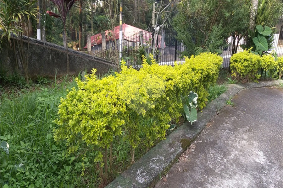 Casa Térrea à venda com 4 suítes em Tremembé, São Paulo, SP