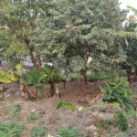 Terreno à venda em Vila Romero, São Paulo, SP