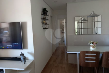 Apartamento à venda com 3 quartos, sendo 1 suíte, em Vila Maria Alta, São Paulo, SP