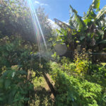 Casa Térrea à venda com 3 quartos, sendo 1 suíte, em Serra da Cantareira, Mairiporã, SP