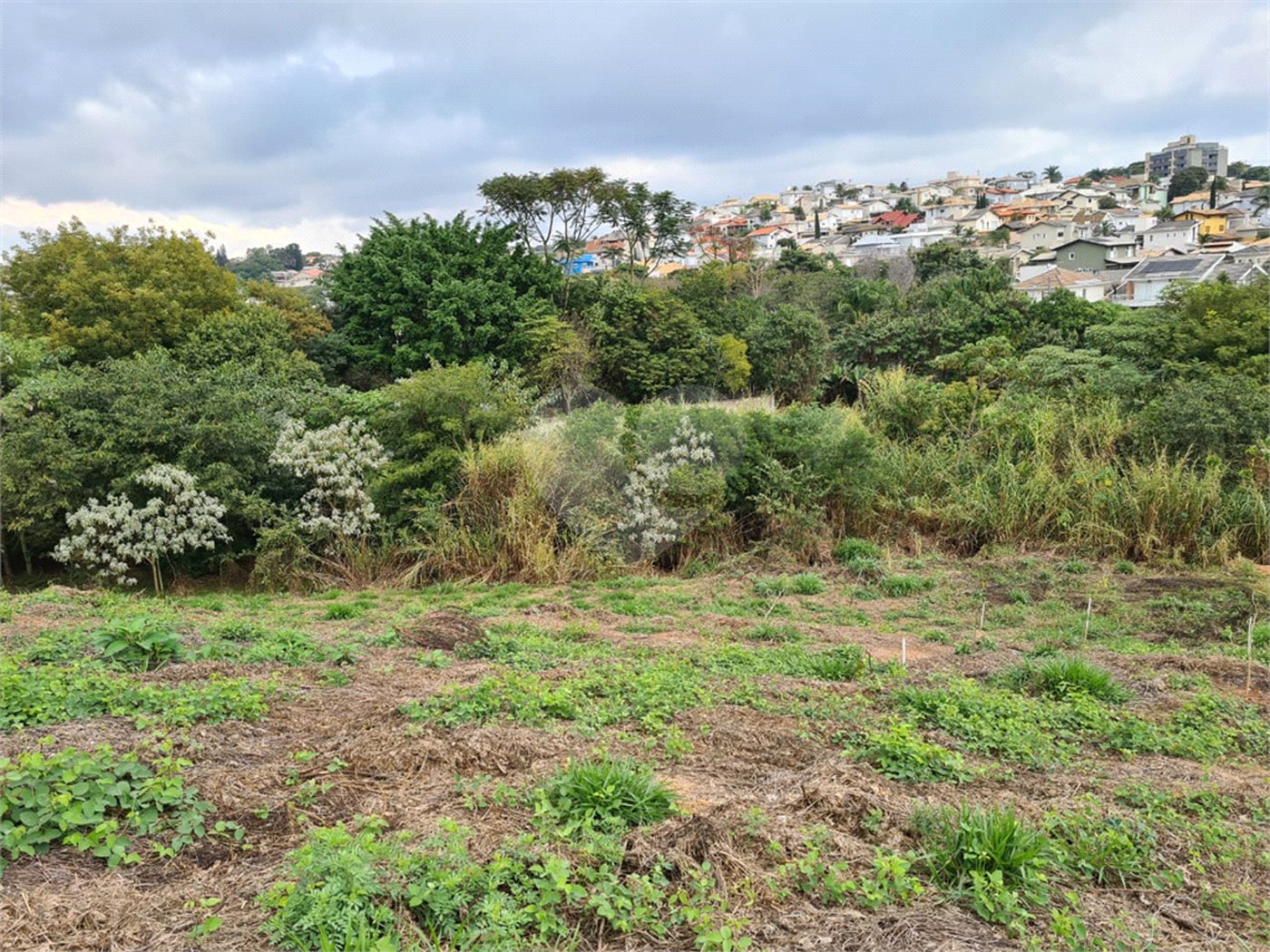 Terreno à venda em Bosque, Vinhedo, SP