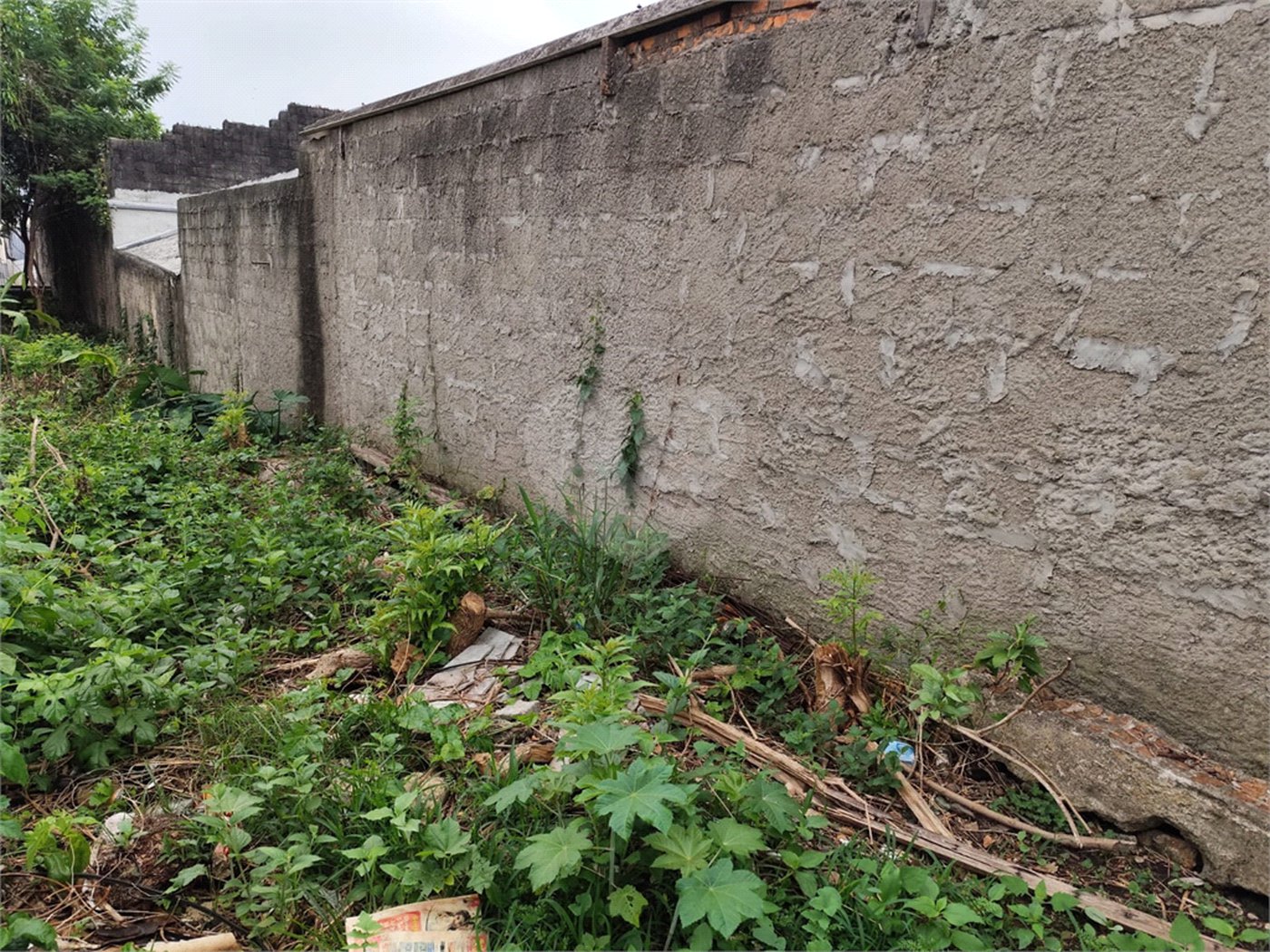 Terreno à venda com 1 suíte em Vila Constança, São Paulo, SP