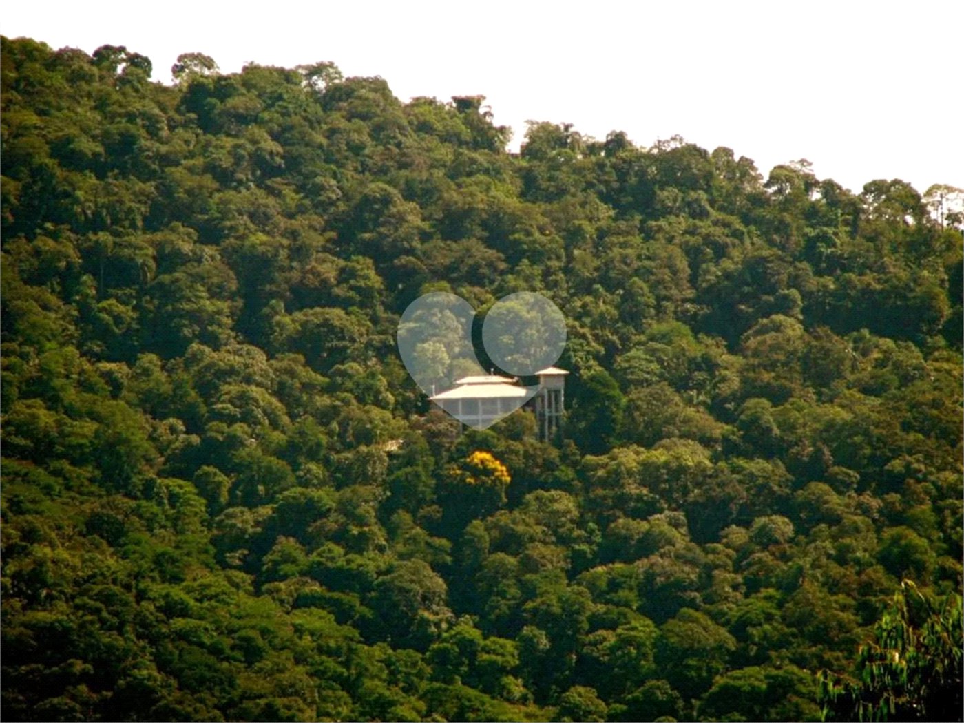 Terreno à venda em Serra da Cantareira, Mairiporã, SP