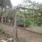 Terreno à venda em Horto Florestal, São Paulo, SP