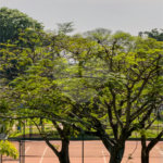 Indaiatuba - Condominio Villa Sapezal - 318 m² de Terreno - 230 m² de Área Construída - 3 suítes, sendo 1 Master com closet planejado - Sala de TV - Sala de estar integrada à Sala de jantar - Cozinha com móveis planejados - Despensa - Escritório planejado - Lavabo - Piscina com preparação para aquec