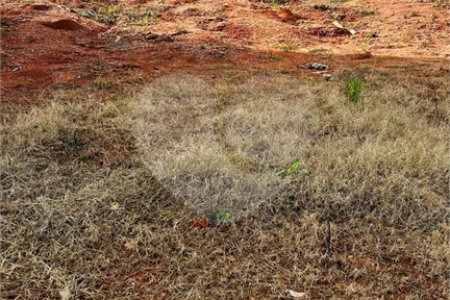 Terreno à venda em Jardim Jurema, Valinhos, SP