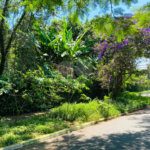 Terreno à venda em Interlagos, São Paulo, SP