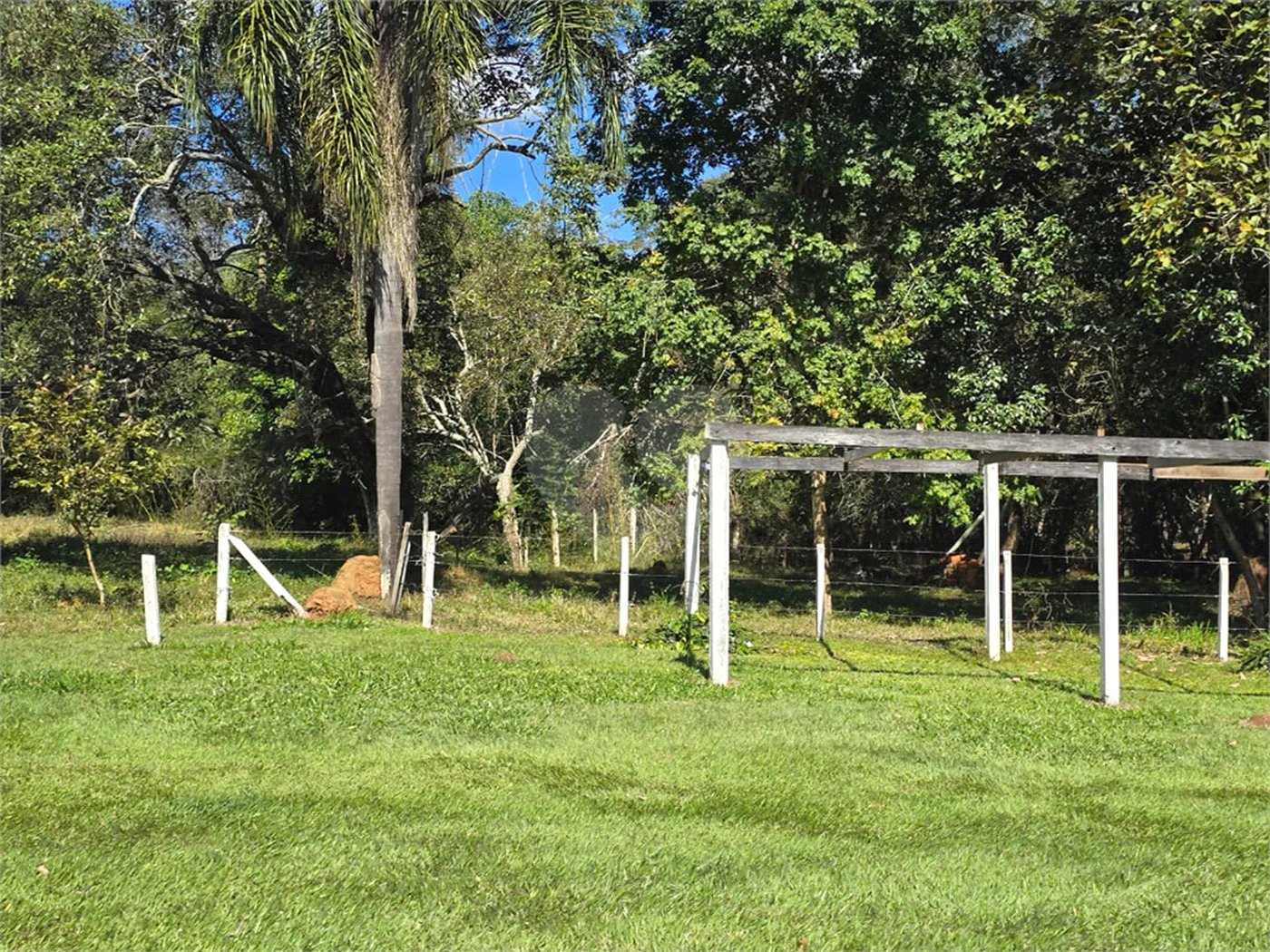 Chácara à venda com 4 quartos, sendo 1 suíte, em Cercadinho, Alambari, SP