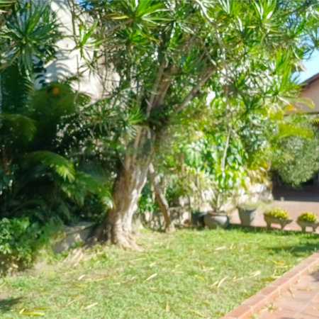 Casa Térrea à venda com 3 quartos em Interlagos, São Paulo, SP