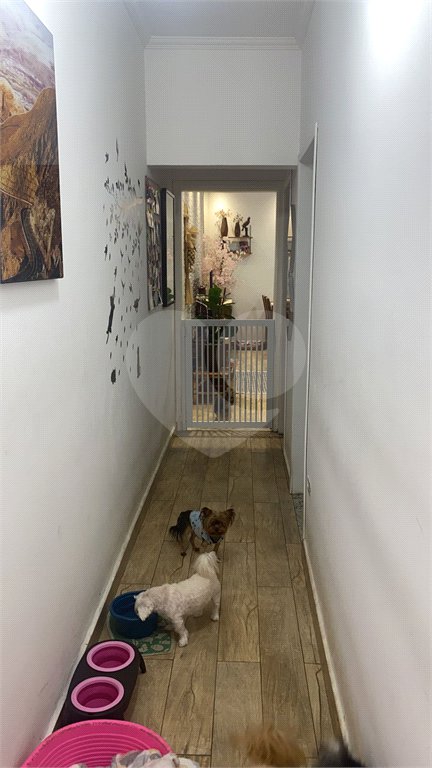Sobrado à venda com 2 quartos, sendo 1 suíte, em Vila Guilherme, São Paulo, SP