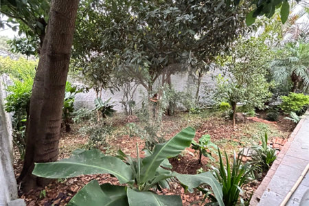 Casa à venda com 3 quartos em Parque Sonia, São Paulo, SP